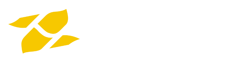 Fuzelift